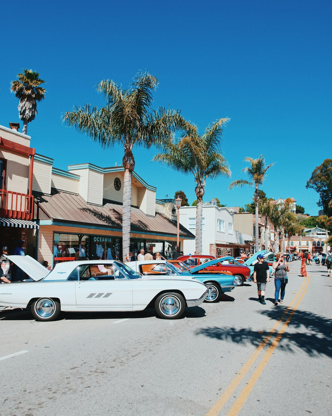 Row of classic cars parked along the coast during a rally in Punta del Este