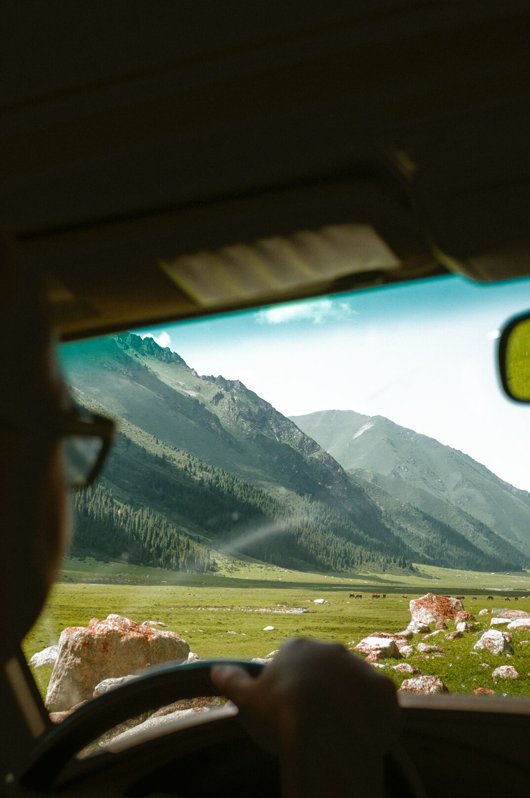 person driving car on scenic road